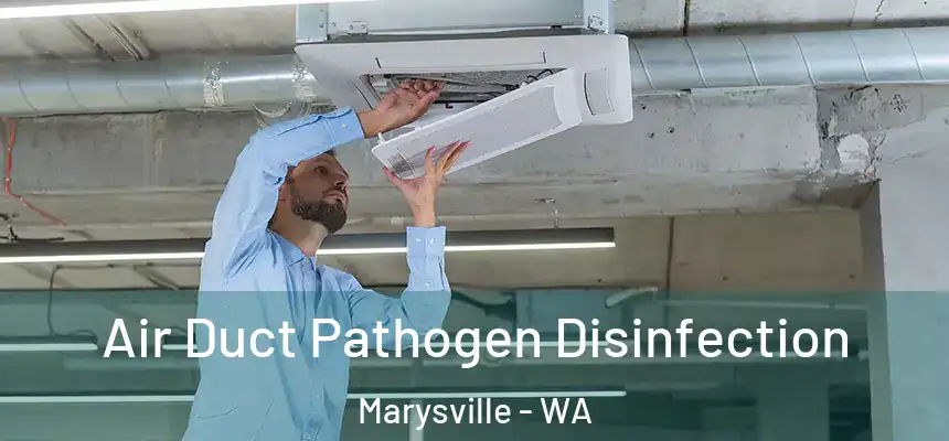  Air Duct Pathogen Disinfection Marysville - WA