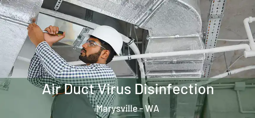 Air Duct Virus Disinfection Marysville - WA