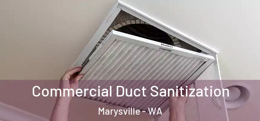 Commercial Duct Sanitization Marysville - WA