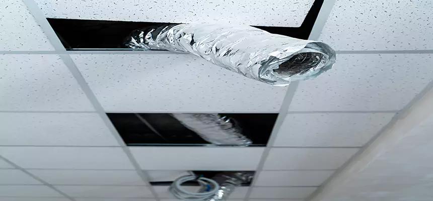 Our Air Duct Pet Hair Removal Services in Marysville, WA