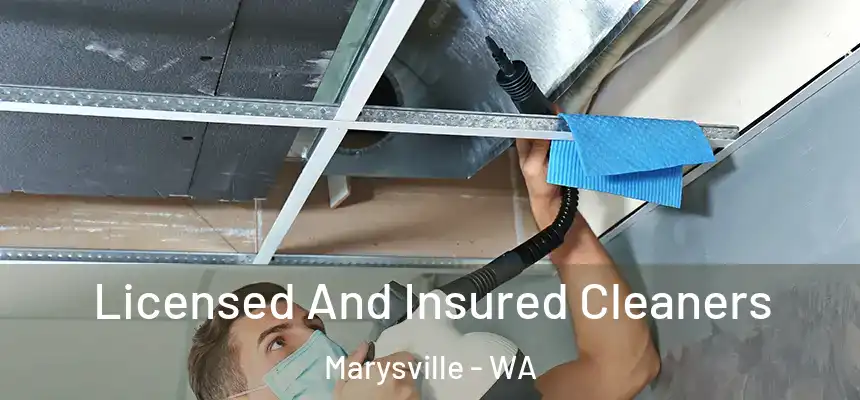 Licensed And Insured Cleaners Marysville - WA