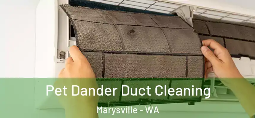 Pet Dander Duct Cleaning Marysville - WA
