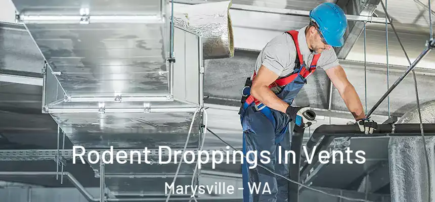 Rodent Droppings In Vents Marysville - WA