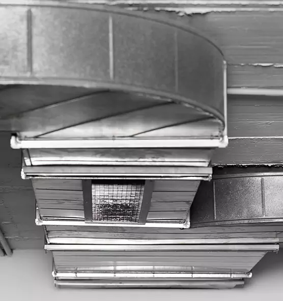 Professional Air Duct Pest Removal in Marysville, WA