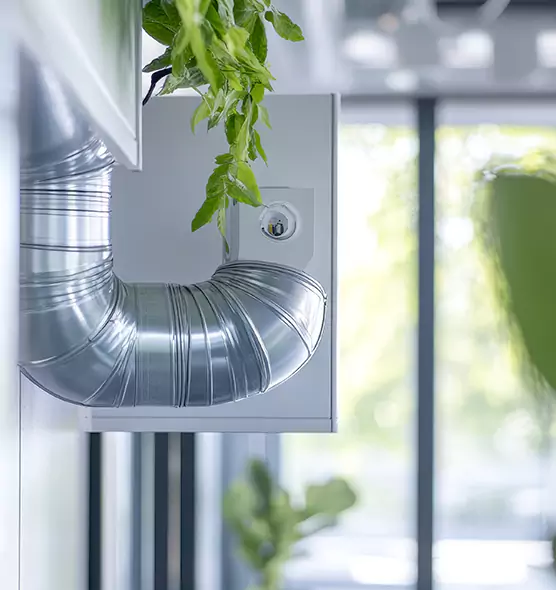 Professional Eco-Safe Dryer Vent Cleaning in Marysville, WA