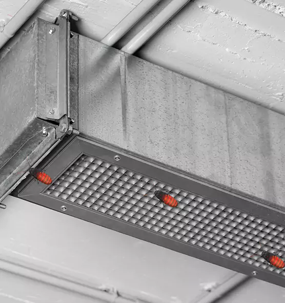 Affordable Insect Removal from Air Ducts in Marysville, WA