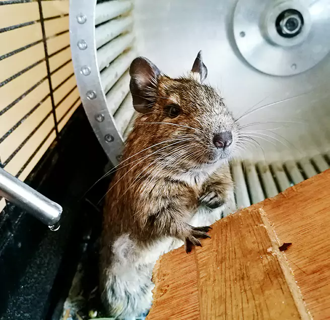 Why Homeowners & Businesses Trust Us Marysville, WA