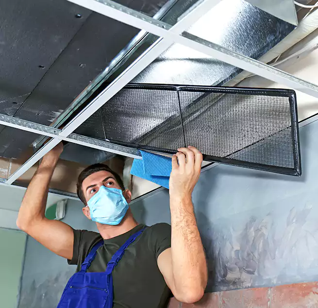 Why Homeowners Businesses Trust Us in Marysville, WA