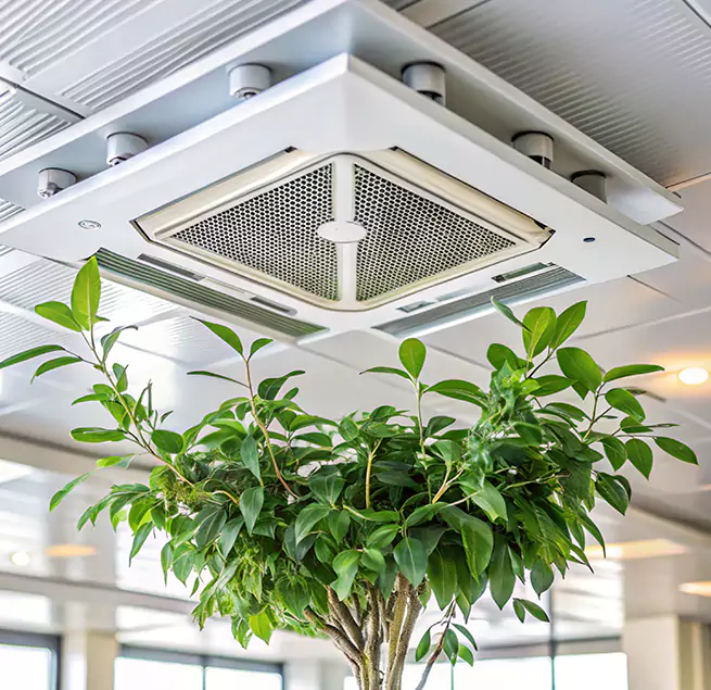 Why Homeowners & Businesses Trust Us in Marysville, WA?