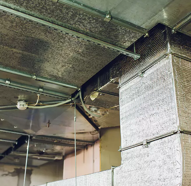 Why Homeowners & Businesses Trust Us in Marysville, WA?