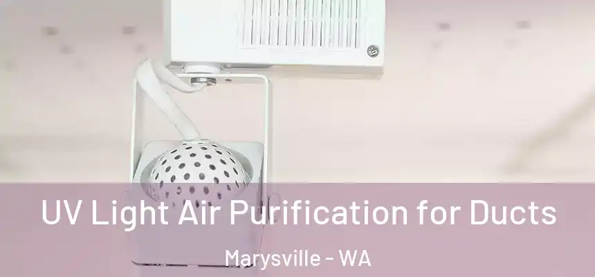  UV Light Air Purification for Ducts Marysville - WA